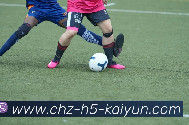 开云平台生态图